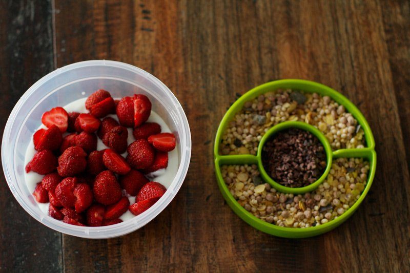 Mealprep für die Arbeit mit EMSA CLIP & GO Boxen 19 Essen für die Arbeit mit EMSA CLIP & GO Boxen