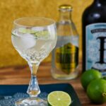 Gin Tonic Rezept Limette Gurke Zitrone