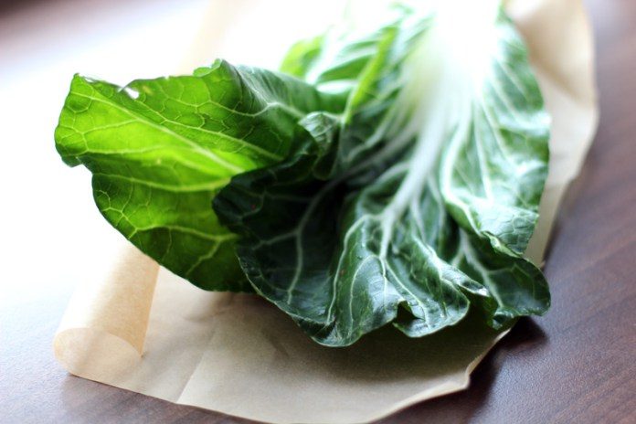 Rezept mit Pak Choi, Shiitake Pilzen und Paprika Rezept mit Pak Choi, Shiitake Pilzen und Paprika
