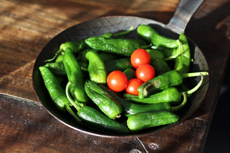 Pimientos de Padron Rezept mit Cherrytomaten vom Grill 8 Grillpaprika