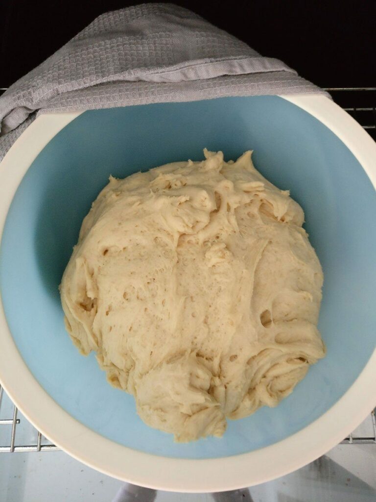 Emmermehl Brötchen Rezept - Backen mit Emmermehl 5 Teig nach 2h