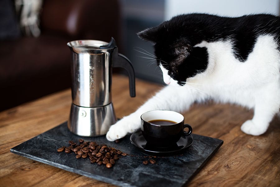 Espresso selber machen auf dem Induktionsherd 8 Espresso selber machen auf dem Herd