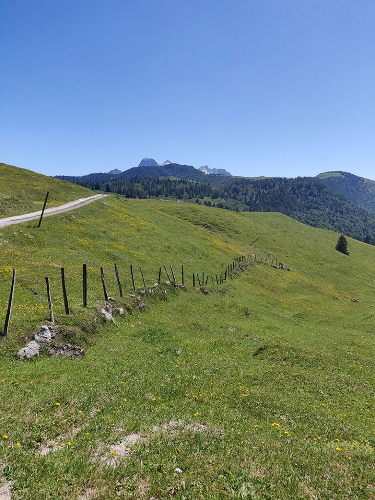 Urlaubsbericht KAT Walk - Wandern durch die Kitzbüheler Alpen 103 katwalk wandern oesterreich st.johann st ulrich 13