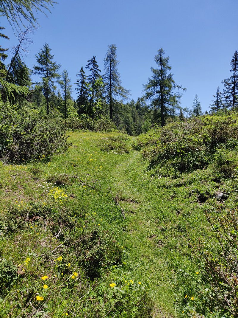 katwalk wandern oesterreich st.johann st ulrich 19