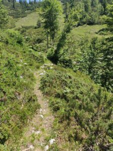 katwalk wandern oesterreich st.johann st ulrich 20