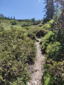 katwalk wandern oesterreich st.johann st ulrich 21