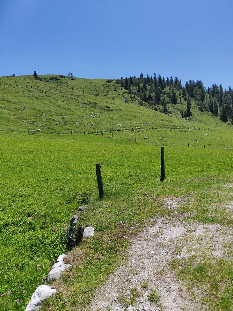 Urlaubsbericht KAT Walk - Wandern durch die Kitzbüheler Alpen 113 katwalk wandern oesterreich st.johann st ulrich 23