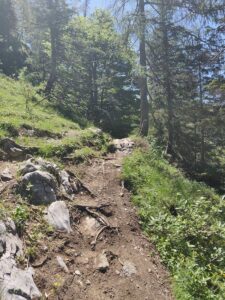 katwalk wandern oesterreich st.johann st ulrich 25