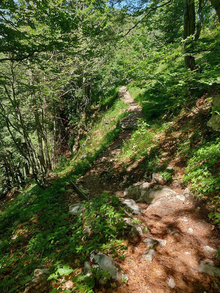 Urlaubsbericht KAT Walk - Wandern durch die Kitzbüheler Alpen 116 katwalk wandern oesterreich st.johann st ulrich 26