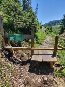 katwalk wandern oesterreich st.johann st ulrich 27