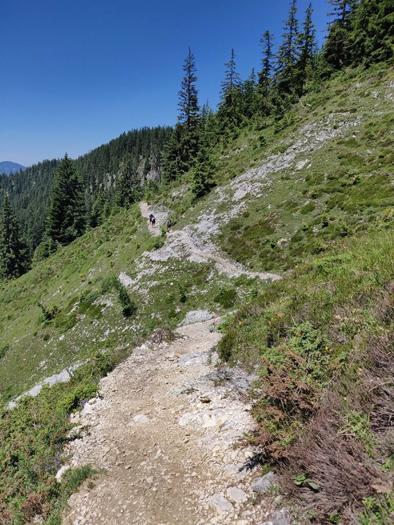 Urlaubsbericht KAT Walk - Wandern durch die Kitzbüheler Alpen 118 katwalk wandern oesterreich st.johann st ulrich 28