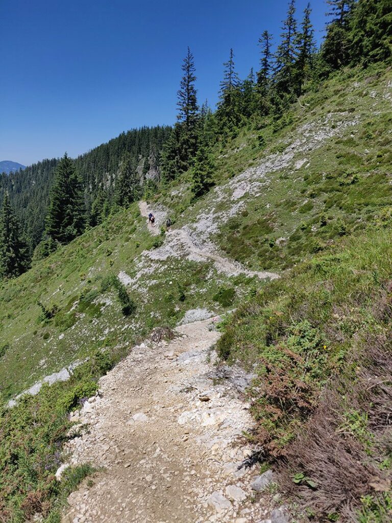 katwalk wandern oesterreich st.johann st ulrich 28