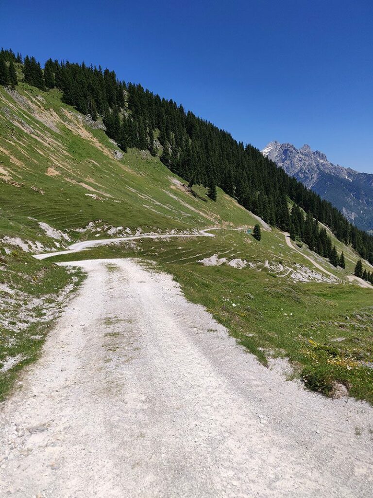 Urlaubsbericht KAT Walk - Wandern durch die Kitzbüheler Alpen 120 katwalk wandern oesterreich st.johann st ulrich 30
