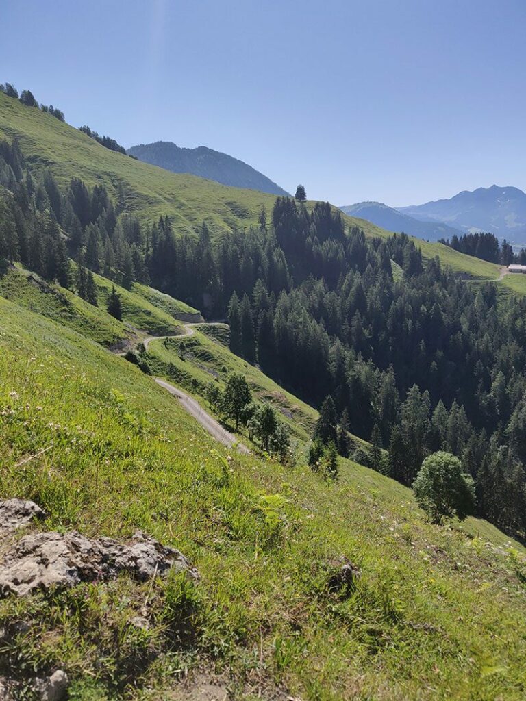 Urlaubsbericht KAT Walk - Wandern durch die Kitzbüheler Alpen 94 katwalk wandern oesterreich st.johann st ulrich 4
