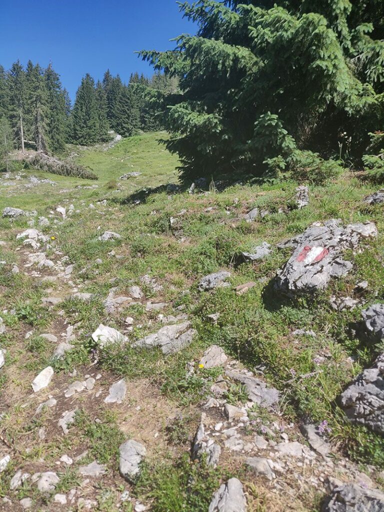 Urlaubsbericht KAT Walk - Wandern durch die Kitzbüheler Alpen 95 katwalk wandern oesterreich st.johann st ulrich 5