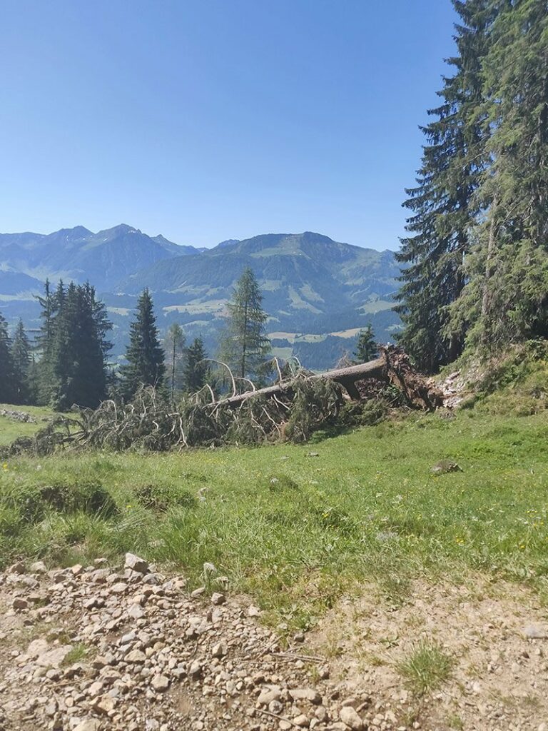 Urlaubsbericht KAT Walk - Wandern durch die Kitzbüheler Alpen 96 katwalk wandern oesterreich st.johann st ulrich 6