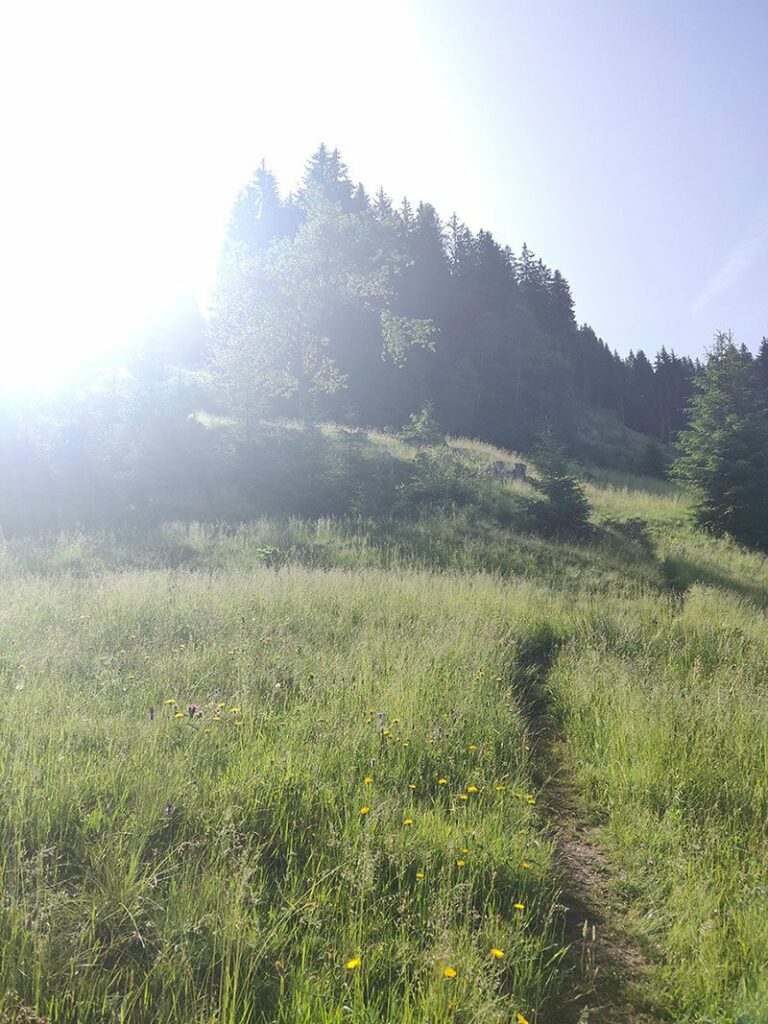 Urlaubsbericht KAT Walk - Wandern durch die Kitzbüheler Alpen 14 katwalk wanderung geniesser tour aschau kitzbuehel 1
