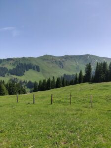 katwalk wanderung geniesser tour aschau kitzbuehel 19