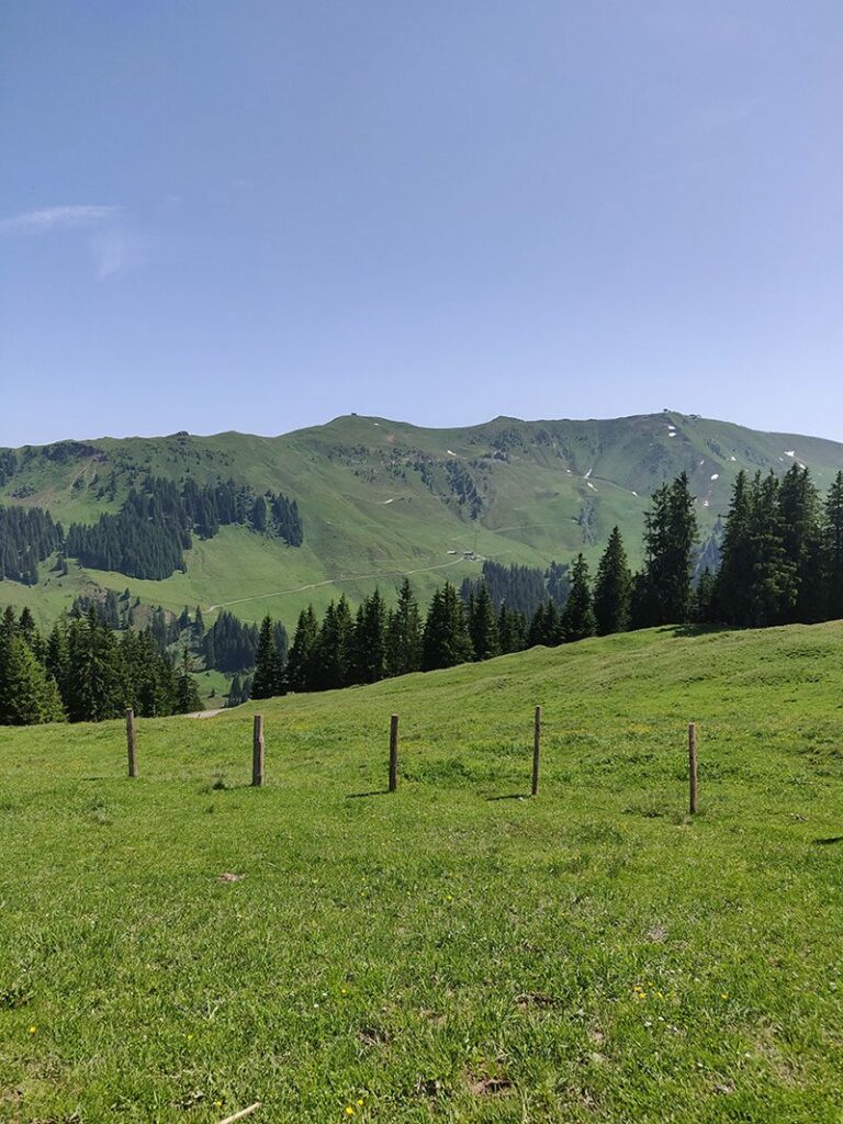 Urlaubsbericht KAT Walk - Wandern durch die Kitzbüheler Alpen 31 katwalk wanderung geniesser tour aschau kitzbuehel 19