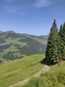 katwalk wanderung geniesser tour aschau kitzbuehel 3