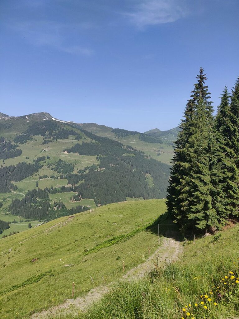 Urlaubsbericht KAT Walk - Wandern durch die Kitzbüheler Alpen 16 katwalk wanderung geniesser tour aschau kitzbuehel 3