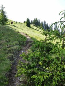 katwalk wanderung geniesser tour aschau kitzbuehel 4