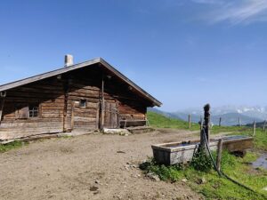 katwalk wanderung geniesser tour aschau kitzbuehel 5