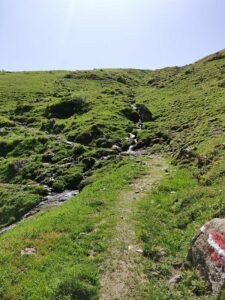 katwalk wanderung geniesser tour aschau kitzbuehel 7