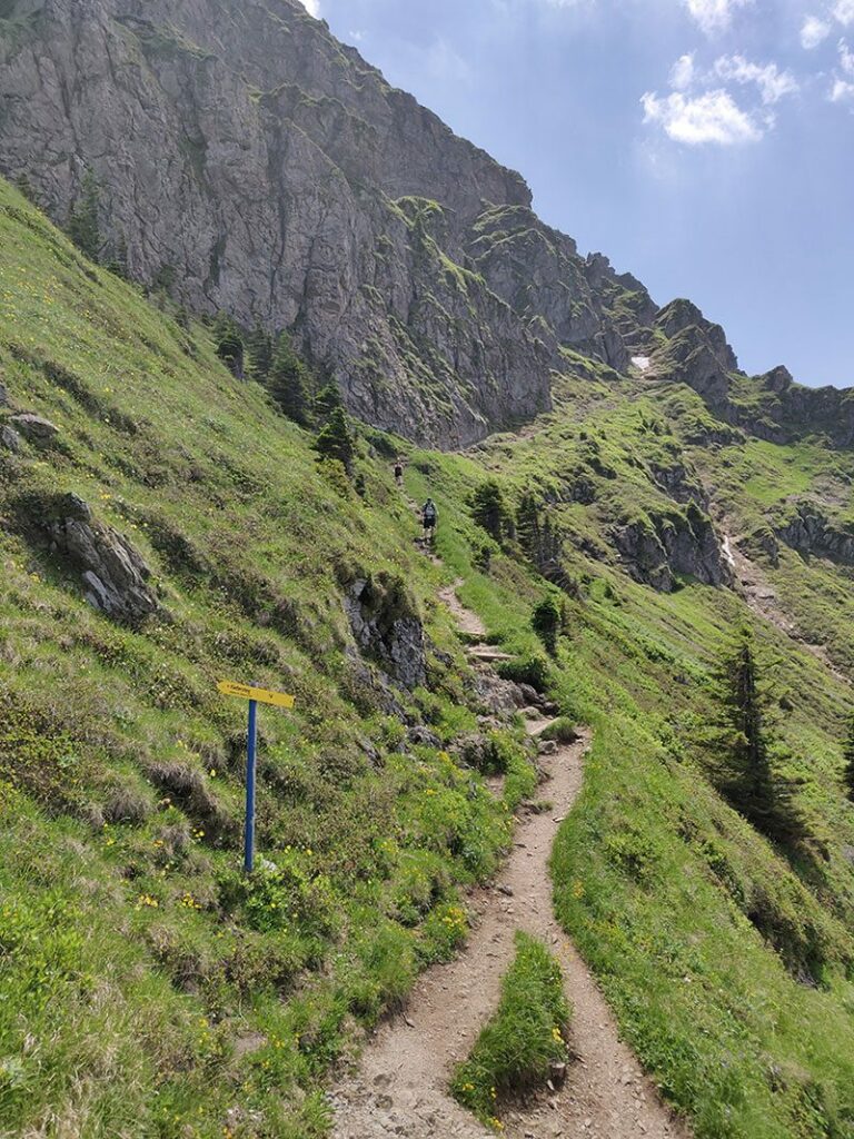 Urlaubsbericht KAT Walk - Wandern durch die Kitzbüheler Alpen 64 katwalk weitwandern kitzbuehel st johann tirol 18