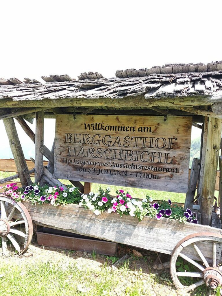 Urlaubsbericht KAT Walk - Wandern durch die Kitzbüheler Alpen 71 katwalk weitwandern kitzbuehel st johann tirol 25