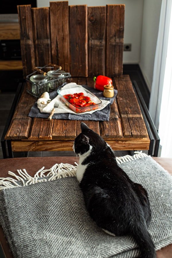 Gegrillte Paprika Rezept aus der Pfanne oder vom Grill 5 Katze hilft beim Bloggen