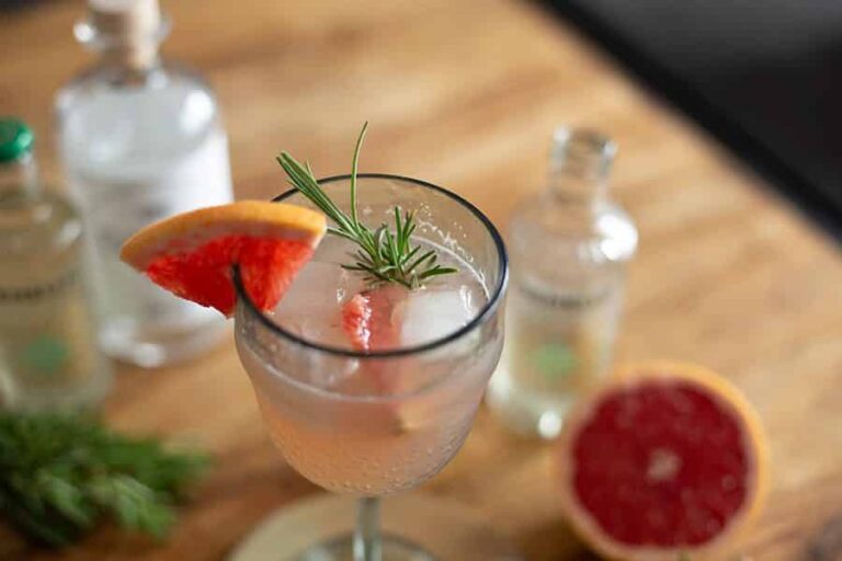 Grapefruit Gin Tonic ein süffiger Spätsommerdrink
