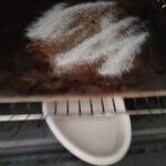 Brotstein & Wasserdampf